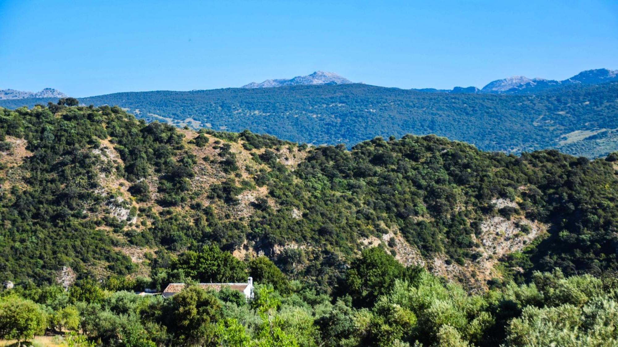 Casas Rurales Los Algarrobales El Gastor Luaran gambar