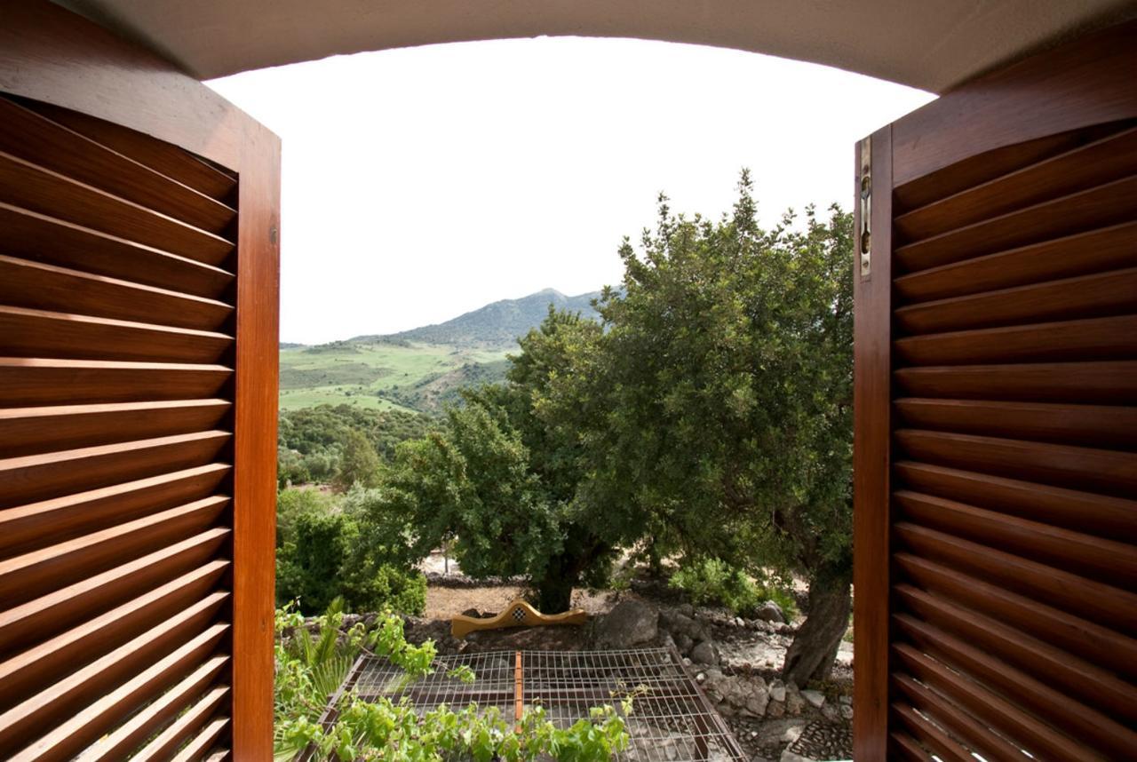 Casas Rurales Los Algarrobales El Gastor Luaran gambar