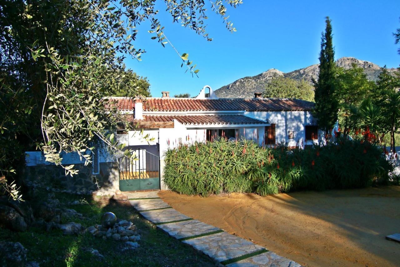 Casas Rurales Los Algarrobales El Gastor Luaran gambar