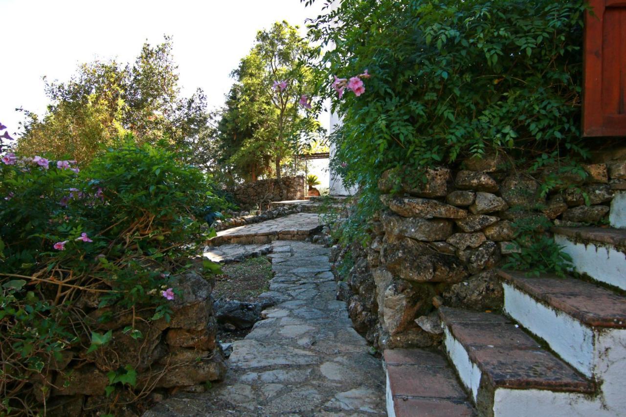 Casas Rurales Los Algarrobales El Gastor Luaran gambar