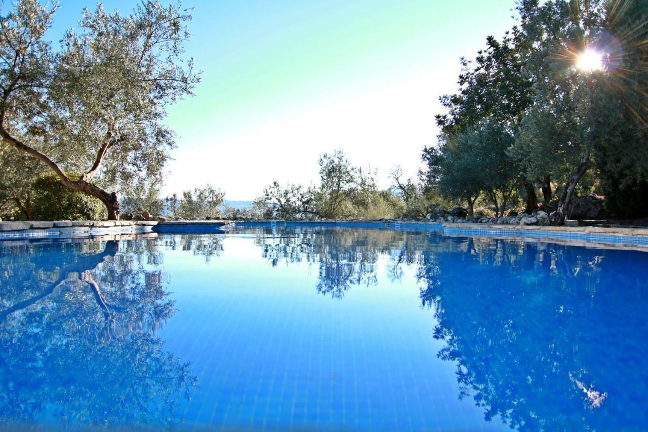 Casas Rurales Los Algarrobales El Gastor Luaran gambar