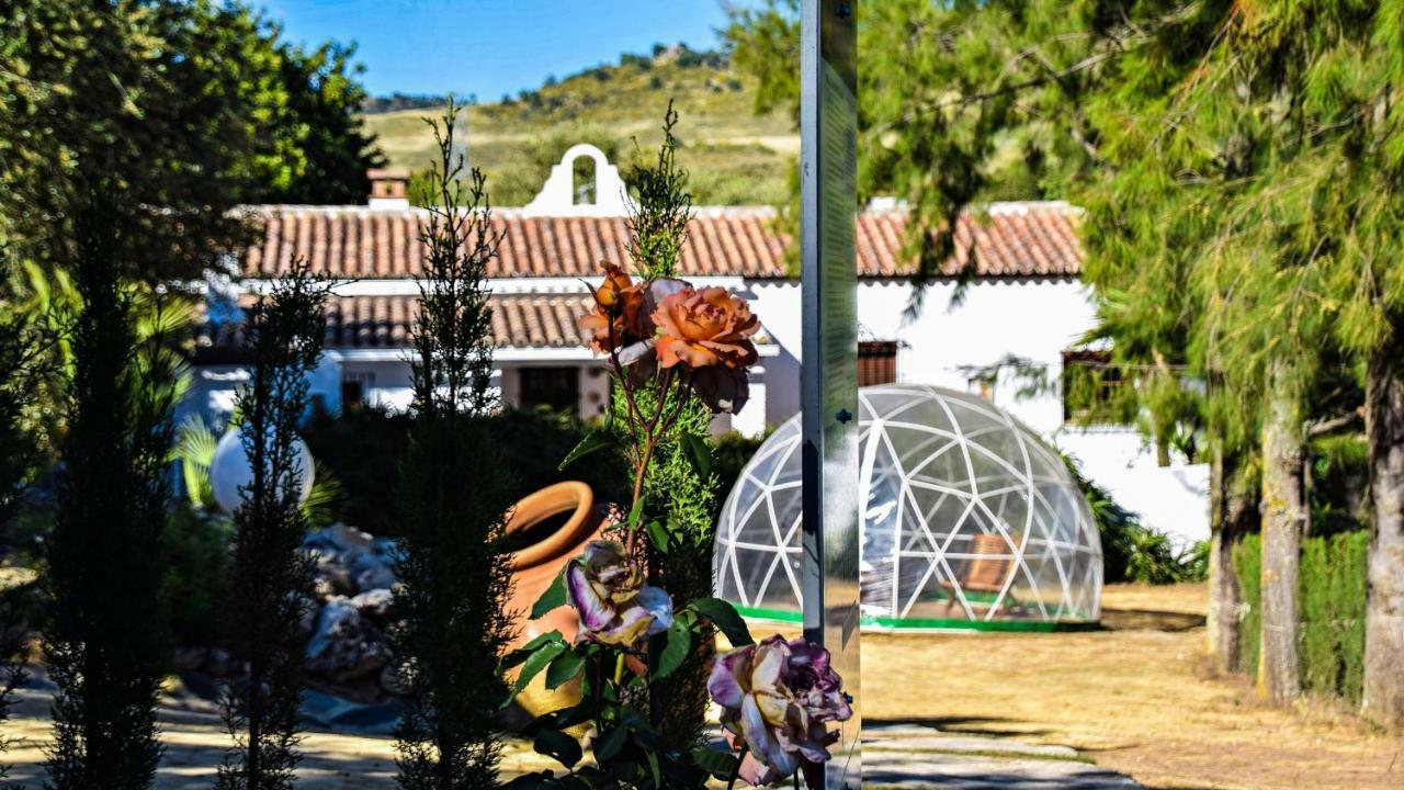 Casas Rurales Los Algarrobales El Gastor Luaran gambar