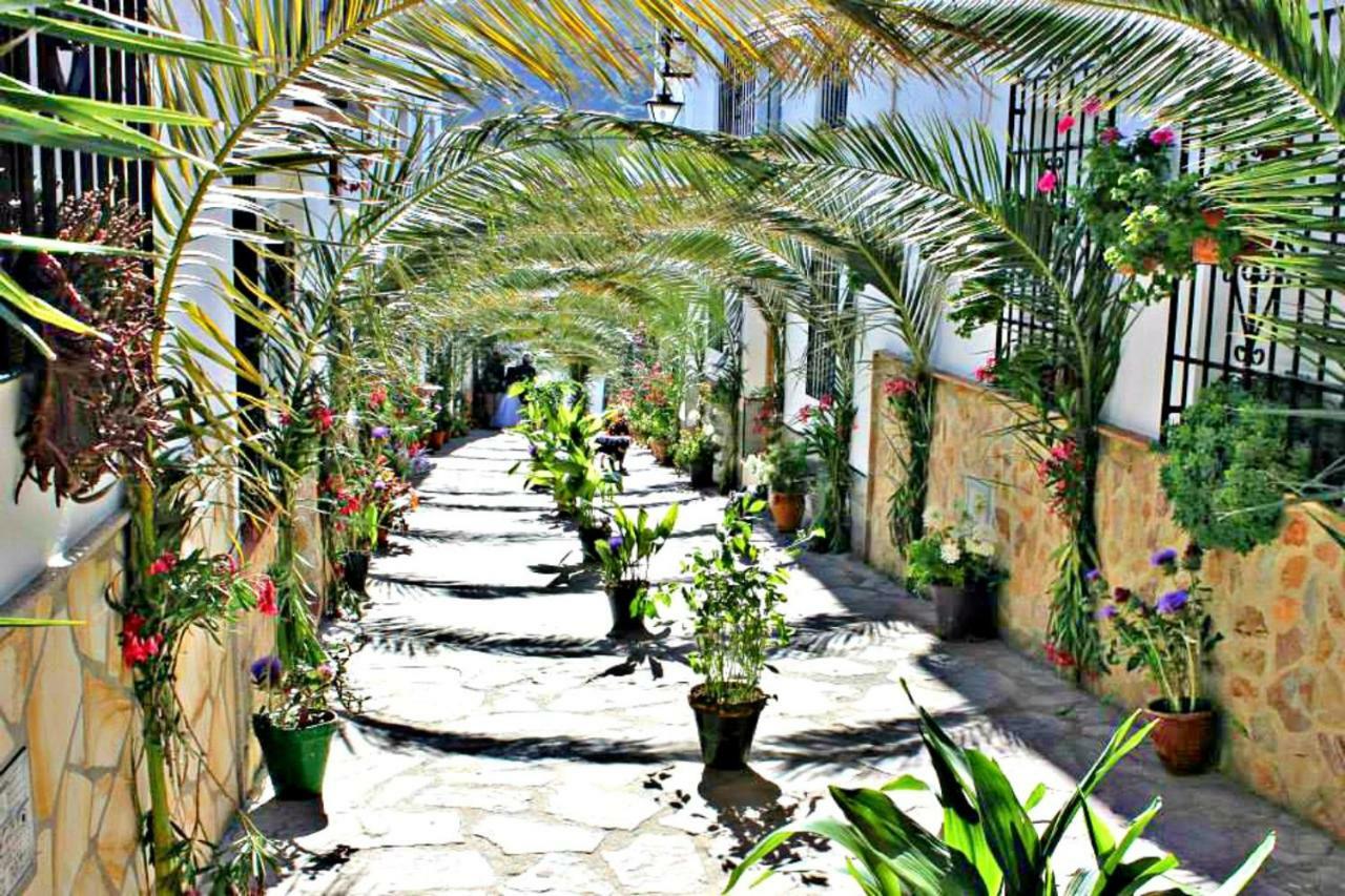Casas Rurales Los Algarrobales El Gastor Luaran gambar