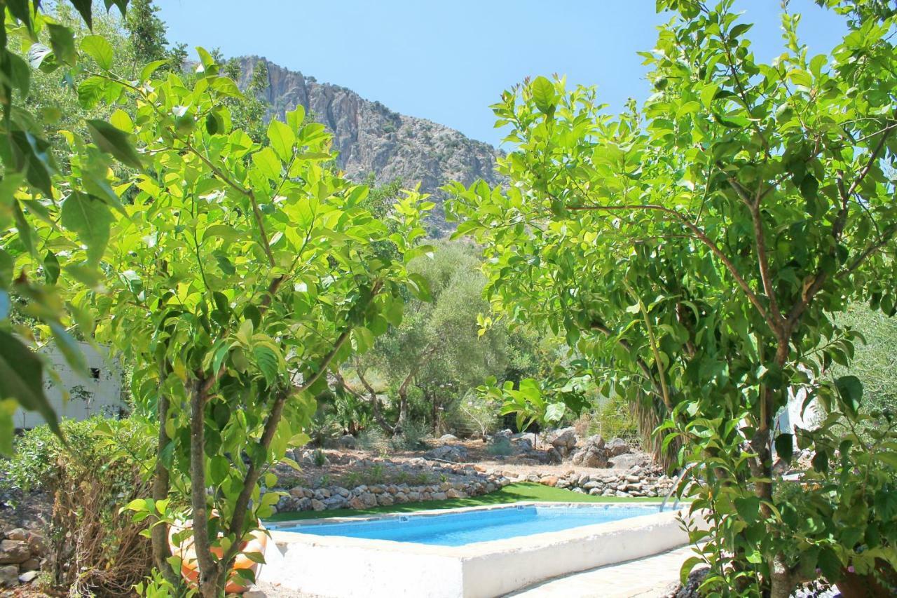 Casas Rurales Los Algarrobales El Gastor Luaran gambar