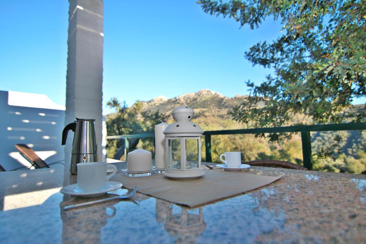 Casas Rurales Los Algarrobales El Gastor Luaran gambar