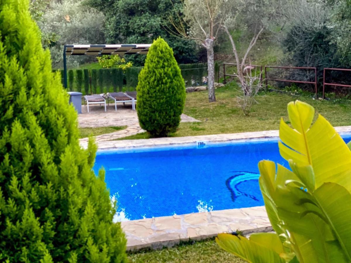 Casas Rurales Los Algarrobales El Gastor Luaran gambar